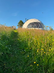 DOME: MINI RETREAT